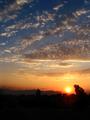 Evening Sun