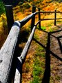 Paths