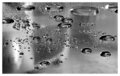 Viscosity