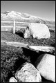 bw_landscape.jpg