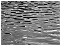 Liquid