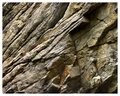 rocks_print_port_color.jpg