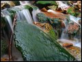 Harmony in Green