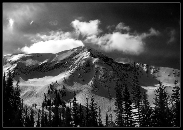 Winter Mountains B/W