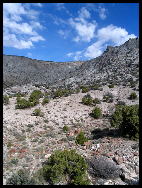 Plains of the Great West