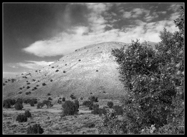 Topaz Mountain B/W