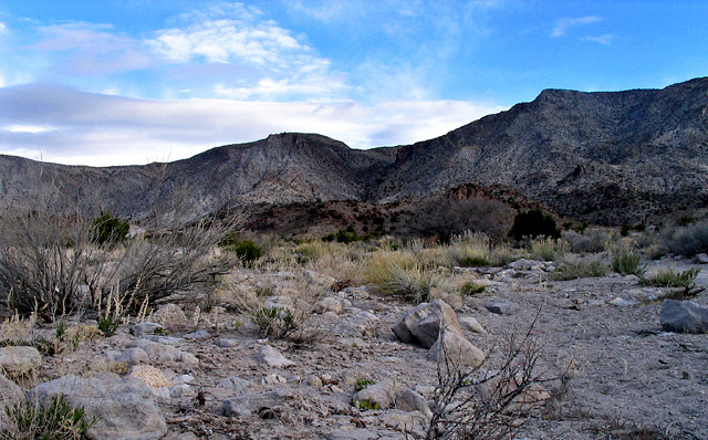 Blue-skied Desert
