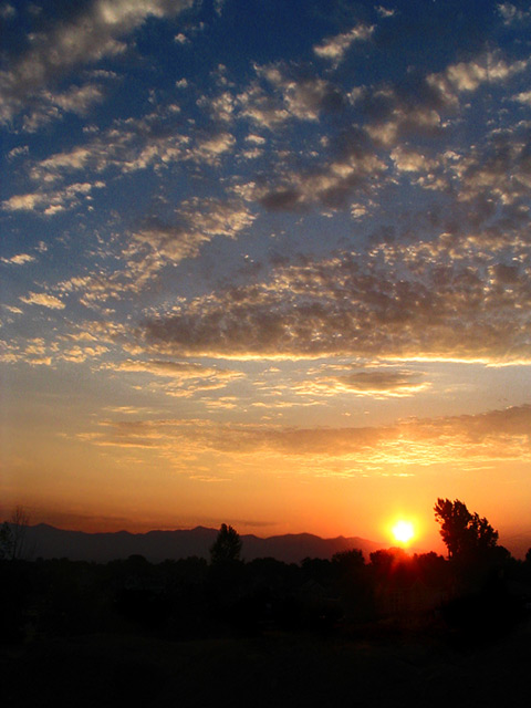 Evening Sun