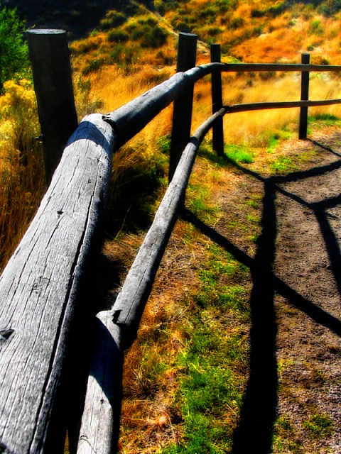 Paths