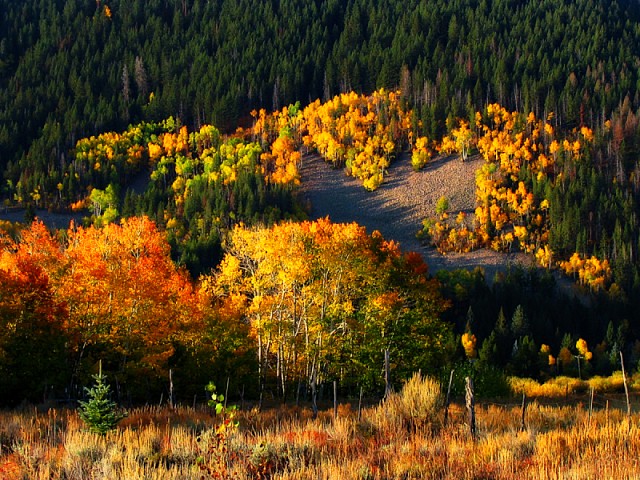 autumn_mount_glow.jpg