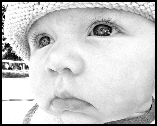 Eyes