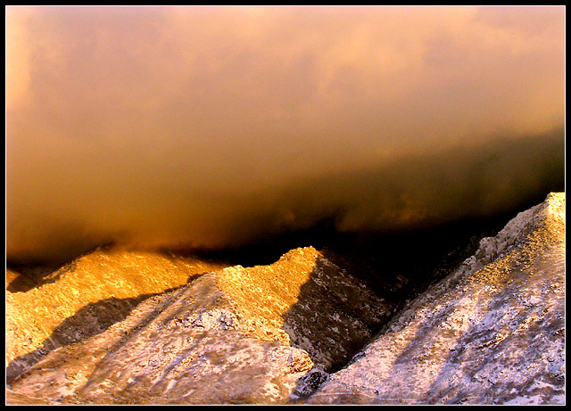 golden_light.jpg