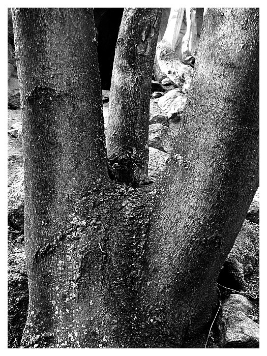 Texture