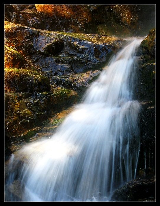 falls_detail_color.jpg