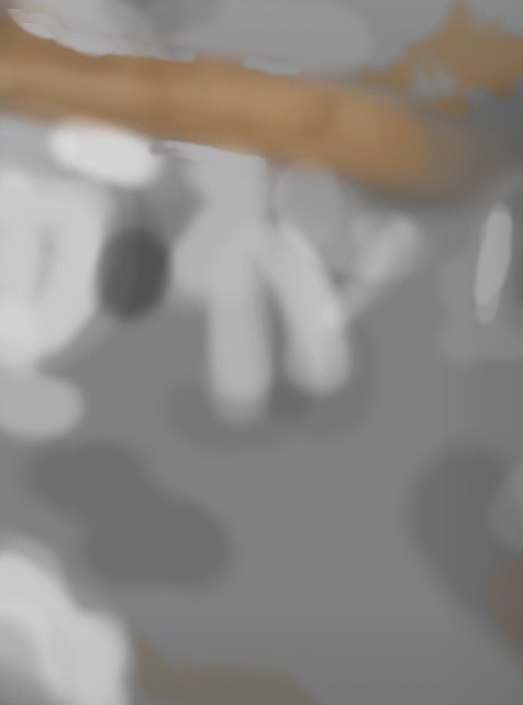 overlay.jpg