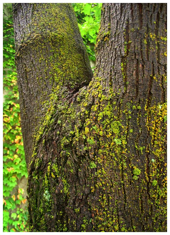 moss_port_2.jpg
