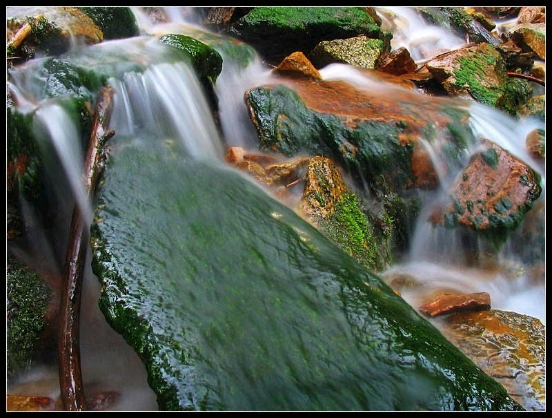 Harmony in Green