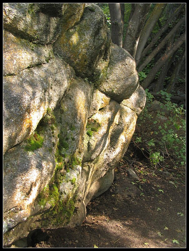 forest_pathway.jpg