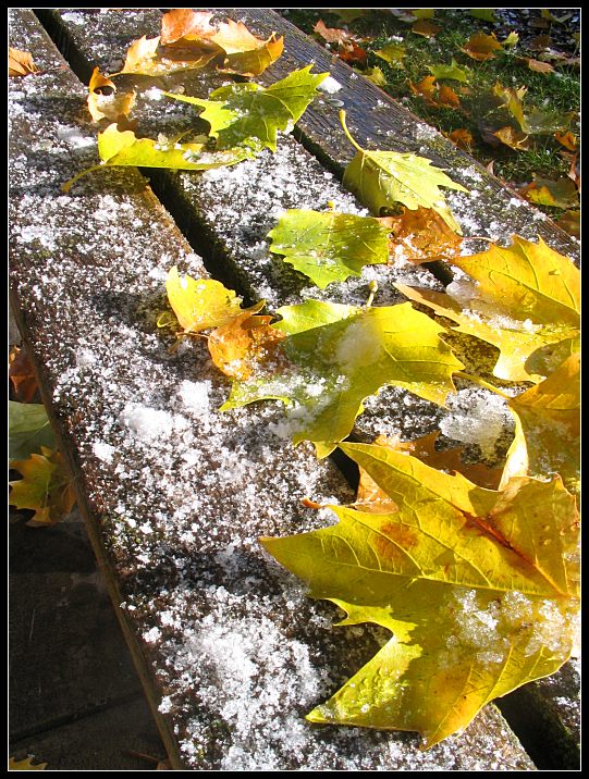 Frost