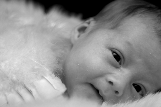 lil angel
