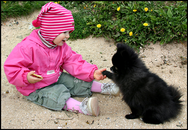 Handshake
