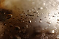 Car Hood After Rain
