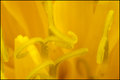 March_macro_day5.jpg