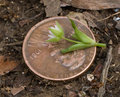 MarchMacro_day10-setup2.jpg