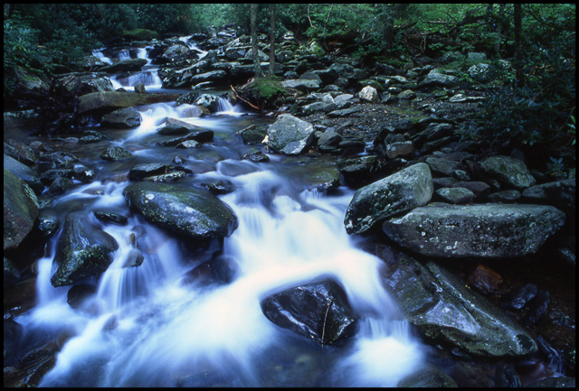 Mountain Stream