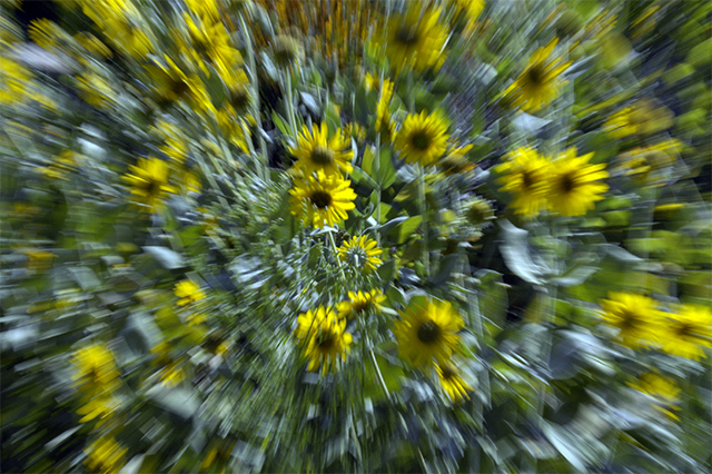 abstract1.jpg