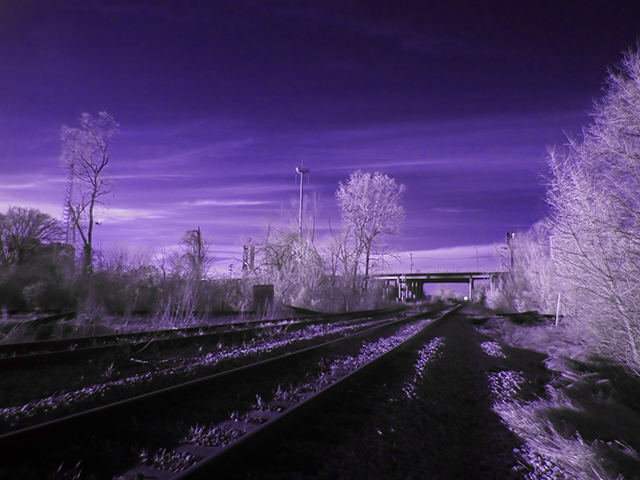 tracks.jpg