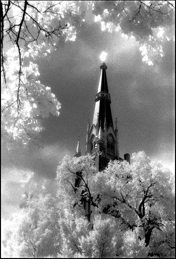notredame-.jpg