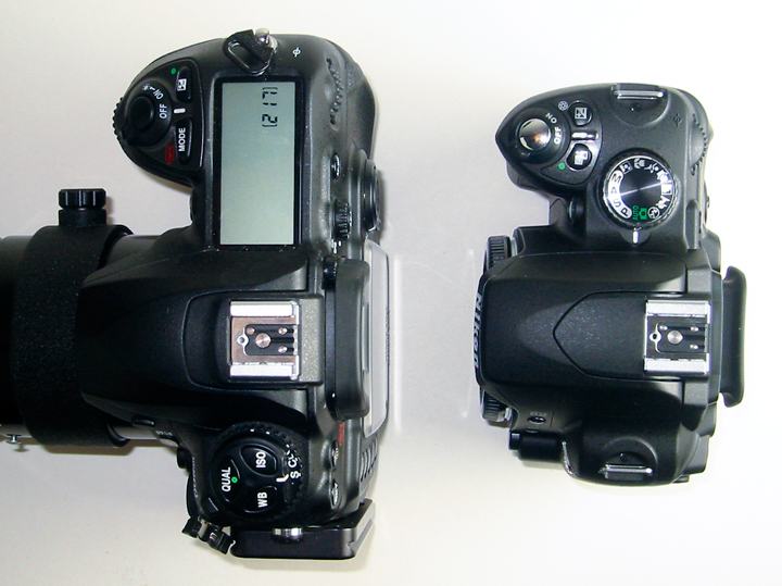 D200vsD60.jpg