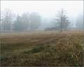 Barn in Blue Mist