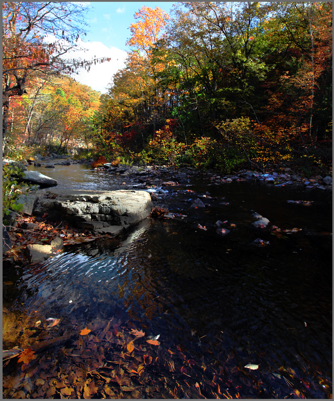 Morning on Passage Creek