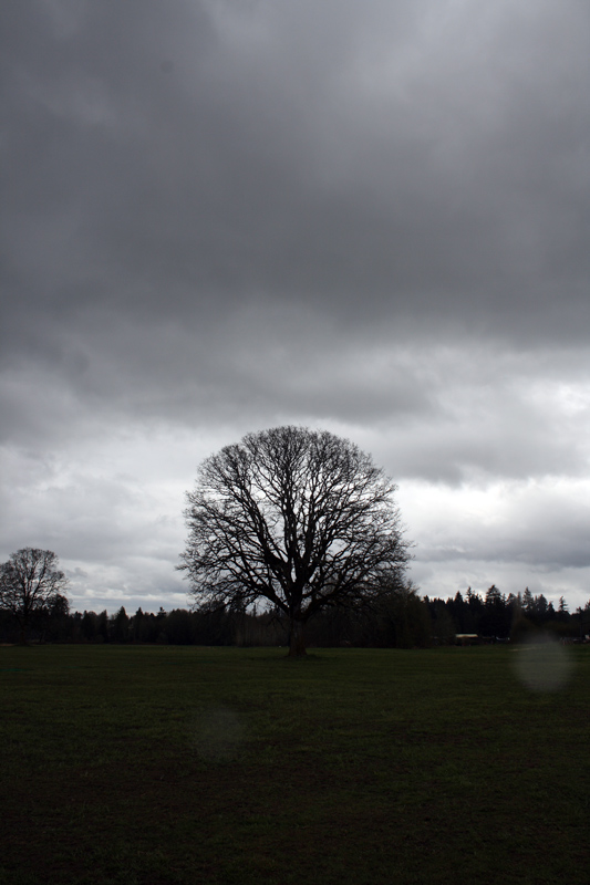 Before the Storm Original
