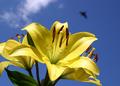 Springtime