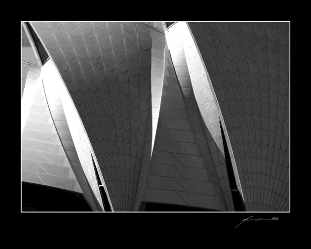 Sydney Sails