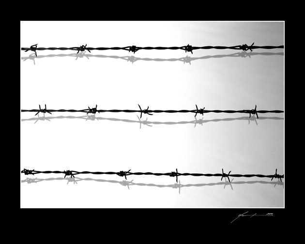 Wired