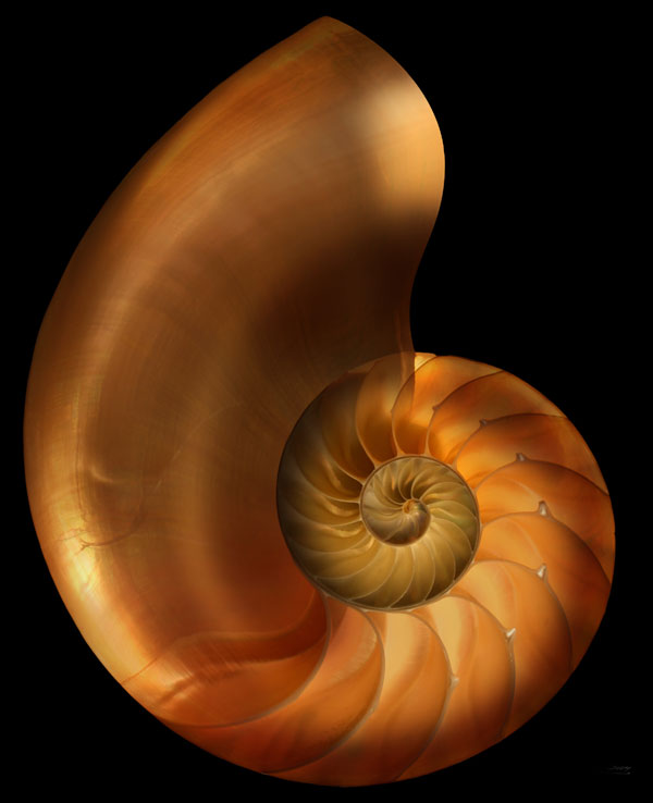 No.6