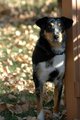 dsc_0004_v2small.jpg