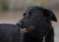 dsc_2848_v2small.jpg