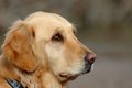 dsc_2844_v2small.jpg