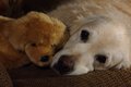 dsc_5225_v2small.jpg