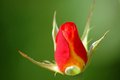 dsc_4163_v3.jpg