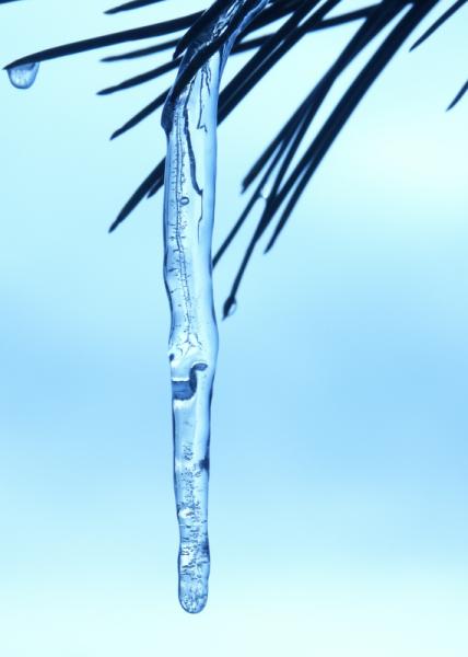 Blue Icicle