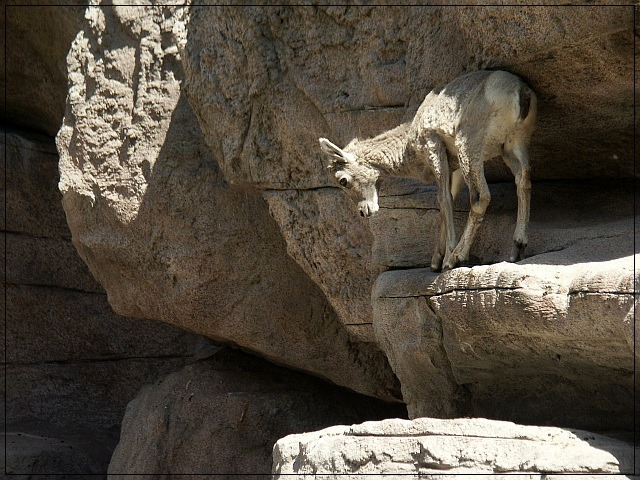 Over the Edge
