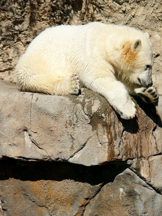 pict2782_v2.jpg
