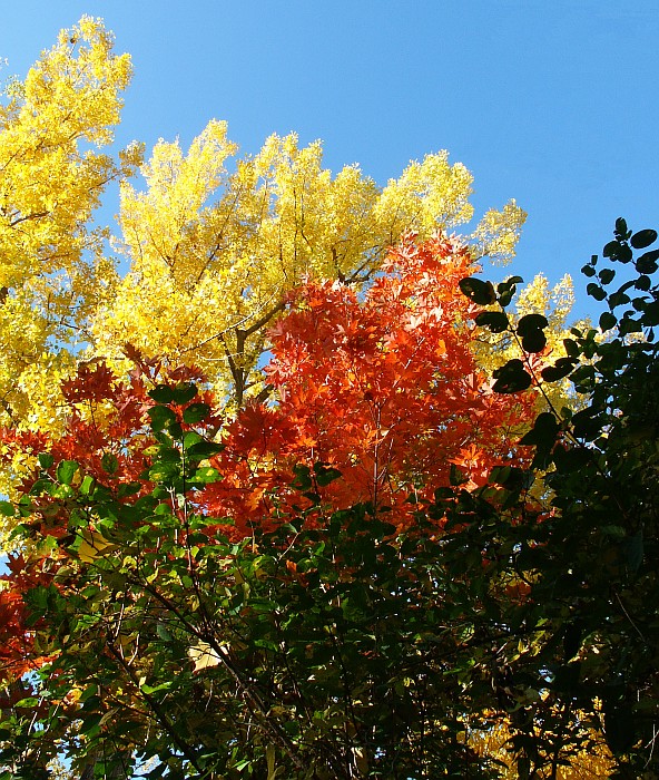 pict2910_v2.jpg