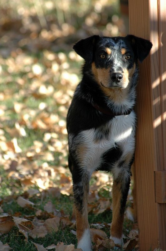 dsc_0004_v2small.jpg